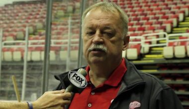 Al Sobotka, Detroit Red Wings