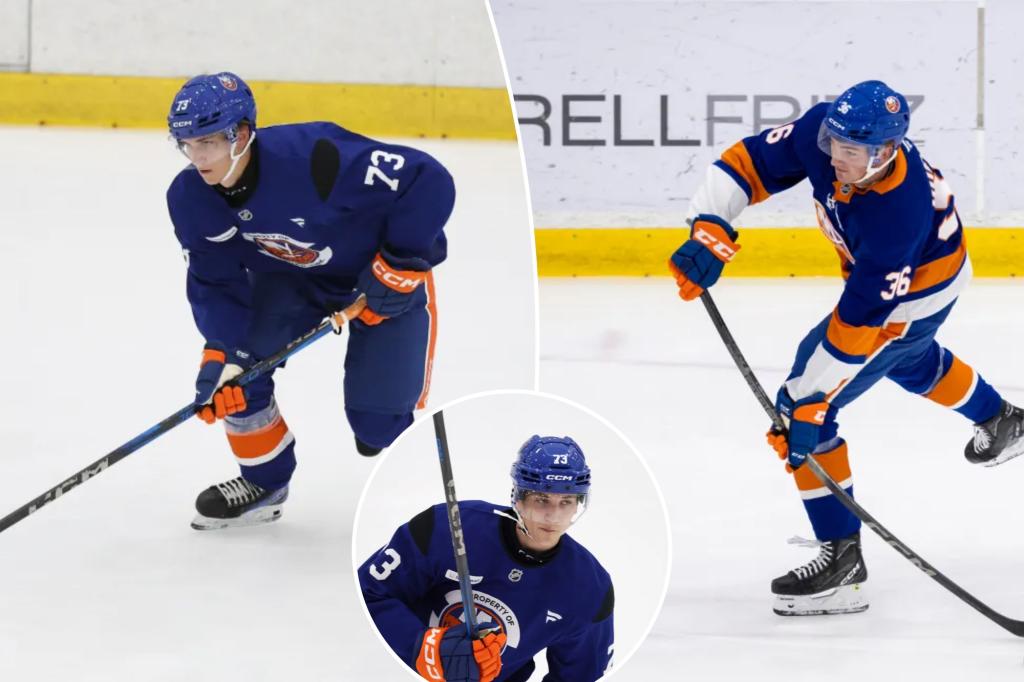 Islanders' Calle Odelius excited at reuniting with Victor Eklund