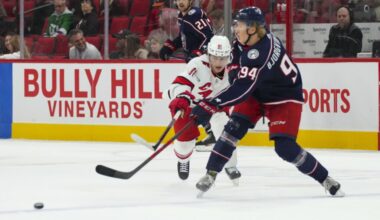 AHL Notes: Bjorgvik-Holm, MacKinnon, LaFontaine