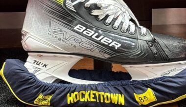 Red Wings plan maize and blue skate guards for outdoor game at Ohio Stadium