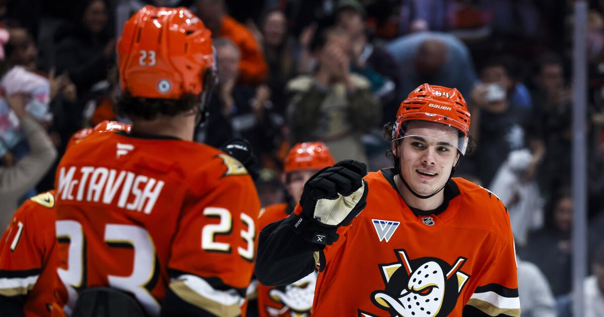 Sam Colangelo scores twice in Ducks' victory over Islanders