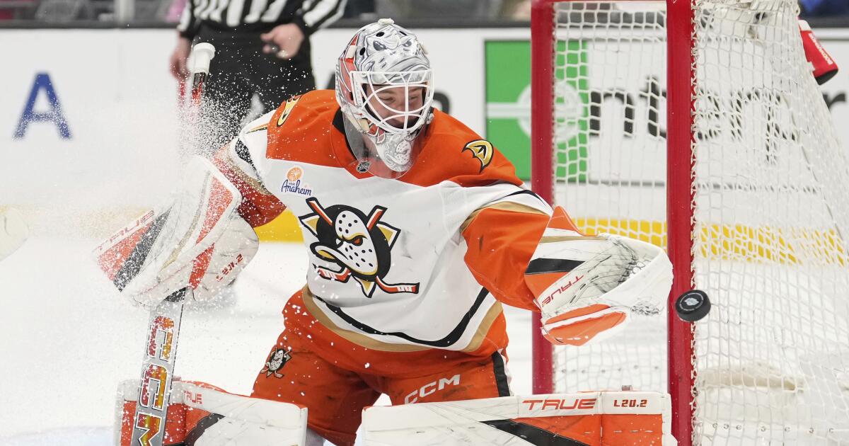 Lukas Dostal avoids arbitration, signs 5-year contract with Ducks