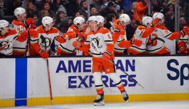 Lukas Dostal's 43-save effort gives Ducks edge in win over Kings