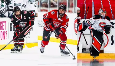 Former, current SCSU hockey players get drafted, sign deals