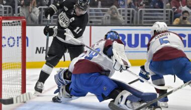 Hermantown's Aamodt makes NHL debut - Duluth News Tribune