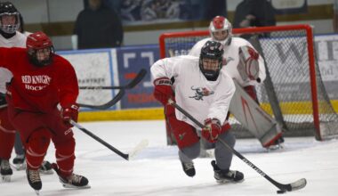 Duluth East caps offseason hockey training at SummerFest - Duluth News Tribune
