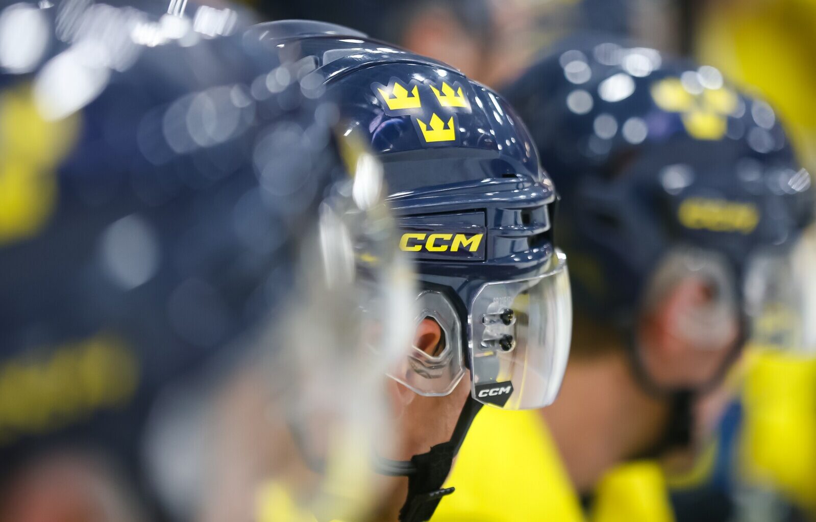 UMD was always the dream for Swedish goaltender - Duluth News Tribune