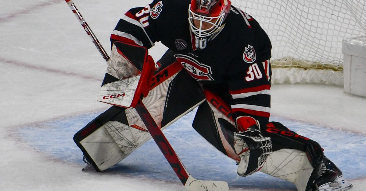 Colorado Avalanche Top 25 Under 25: Honorable Mention Isak Posch