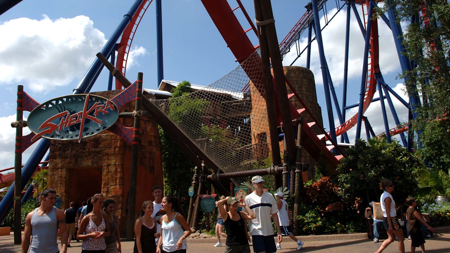 Busch Gardens Sheikra Roller Coaster
