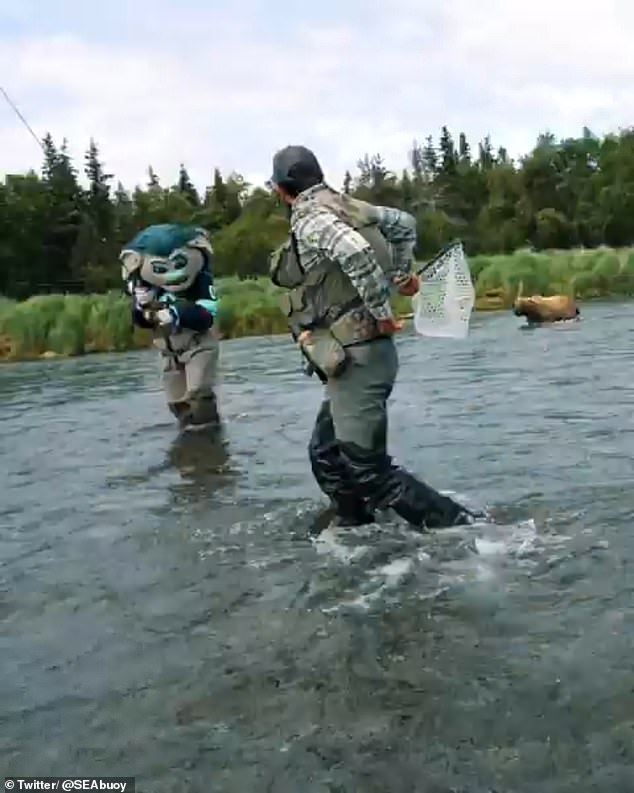 Kraken mascot, Buoy, is seen retreating from a charging brown bear in the Alaska wilderness