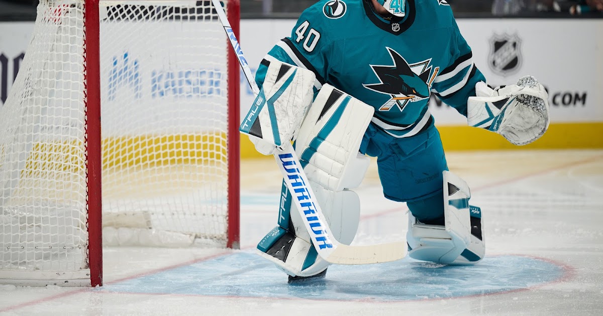 3 Potential Free-Agent Destinations for Alexandar Georgiev