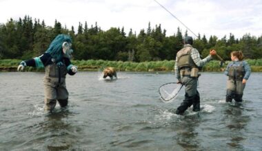 Seattle NHL team’s mascot has a close encounter with a brown bear during video shoot in Alaska