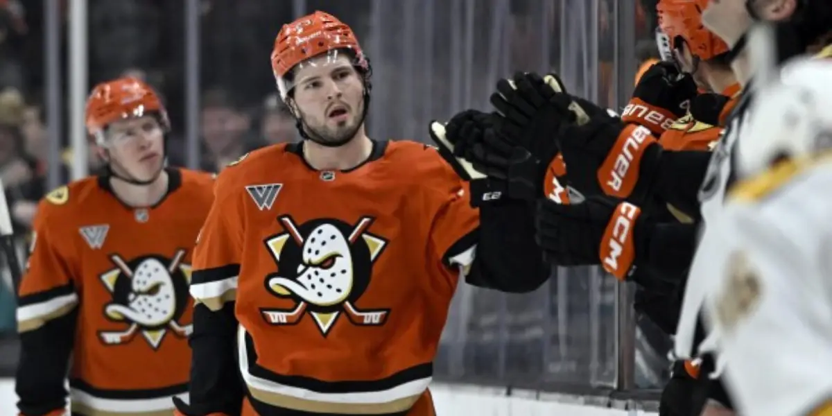 Detroit Red Wings Linked To Anaheim Ducks 22-Year-Old Forward