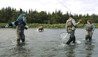 Seattle NHL team's mascot has close encounter with bear