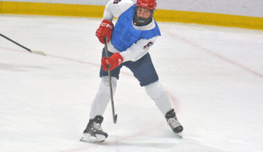 US collegiate, U18 hockey teams named | News, Sports, Jobs