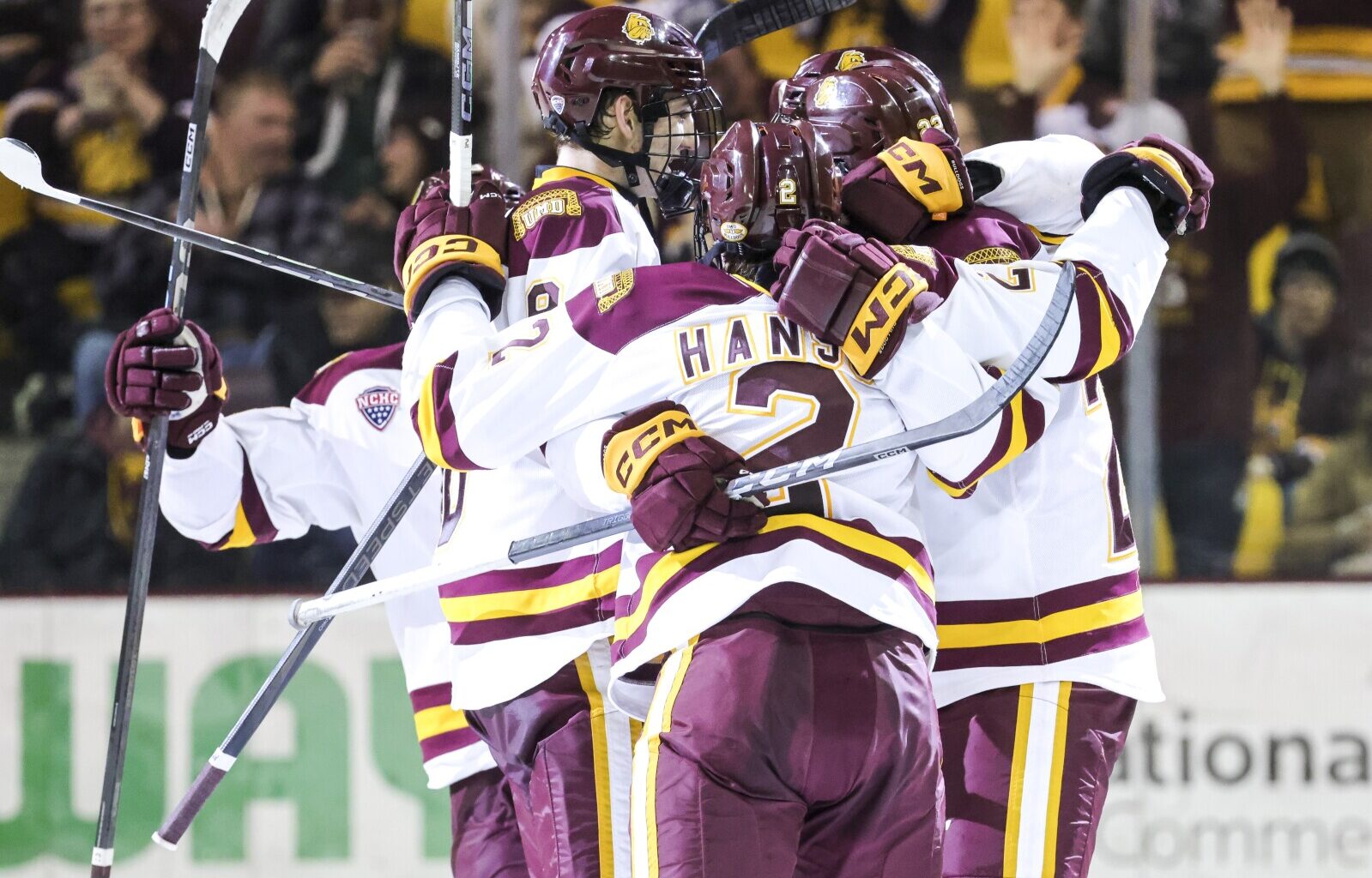 UMD lands son of former Minnesota Wild player, coach - Duluth News Tribune