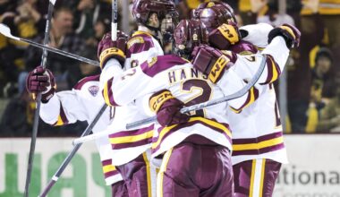 UMD lands son of former Minnesota Wild player, coach - Duluth News Tribune