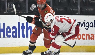 Cutter Gauthier puts Ducks ahead with his 1st NHL goal, and Anaheim rallies past the Red Wings 6-4
