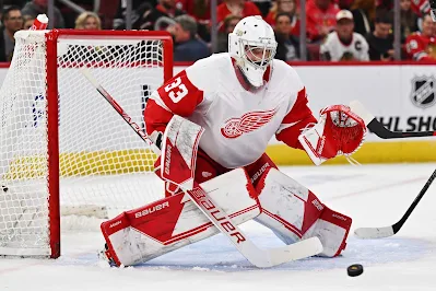 Sebastian Cossa, Detroit Red Wings
