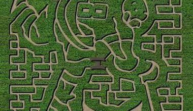 Ovech-corn? 6-acre Capitals-themed maze comes to Maryland farm this fall