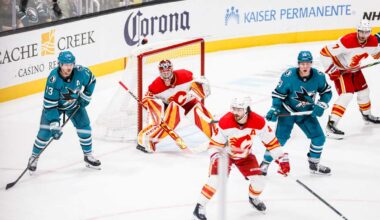 Wolf returns home for NHL victory | Gilroy Dispatch