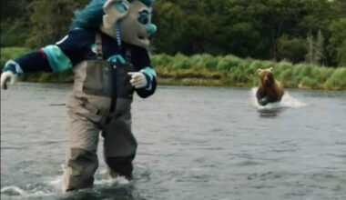 Seattle Kraken player and mascot chased by bear while filming fishing video