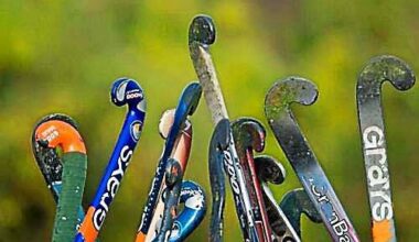 Rondout Valley loses 2-1 to Section 2’s Bethlehem – Daily Freeman