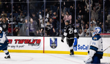 LA Kings Training Camp Preview: Andre Lee