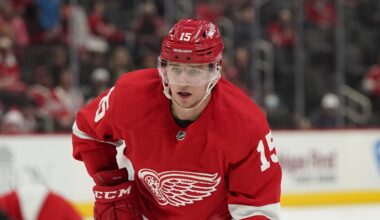 Cup Champion & Former Top-15 Pick Reveals He Will Likely Sign in Sweden Instead of Staying in the NH