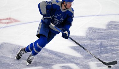 Former Maple Leafs Player Officially Leaves NHL Behind, Signs Deal Overseas