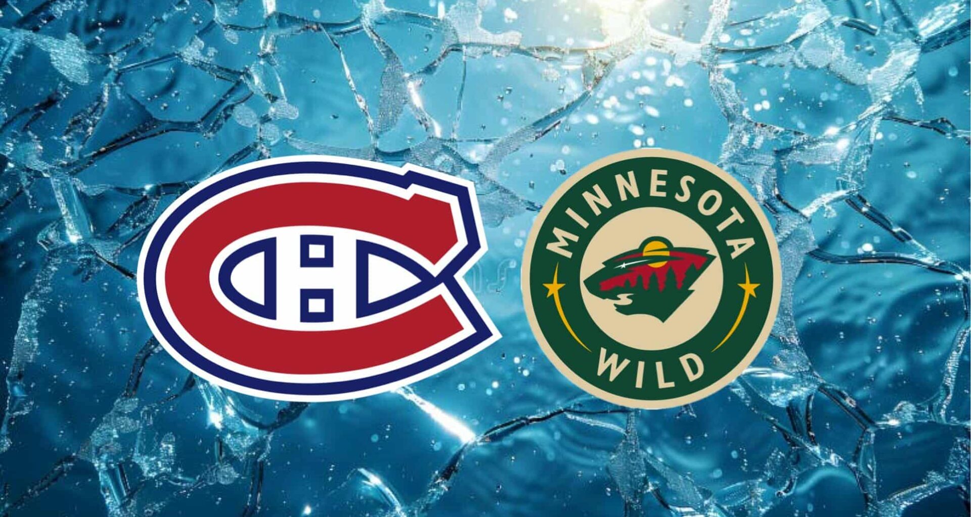 A Trade Between the Montreal Canadiens and the Minnesota Wild Could be Facilitated by Reinbacher