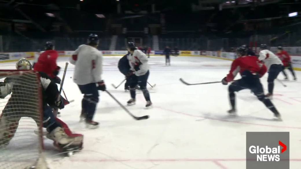 Click to play video: 'Western Hockey League implements mandatory neck guard policy for players'
