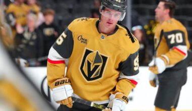 Top-25 des meilleurs agents libres toujours disponibles dans la LNH