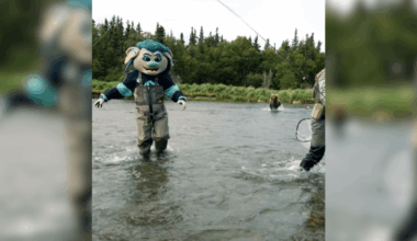 Seattle Kraken mascot's Alaskan trip interrupted by curious brown bear | Local & State News