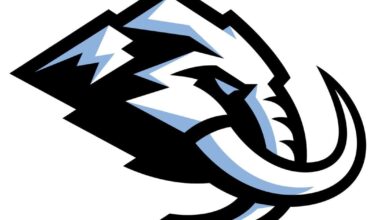 Utah Mammoth files lawsuit in trademark dispute with hockey equipment bag manufacturer | Sports