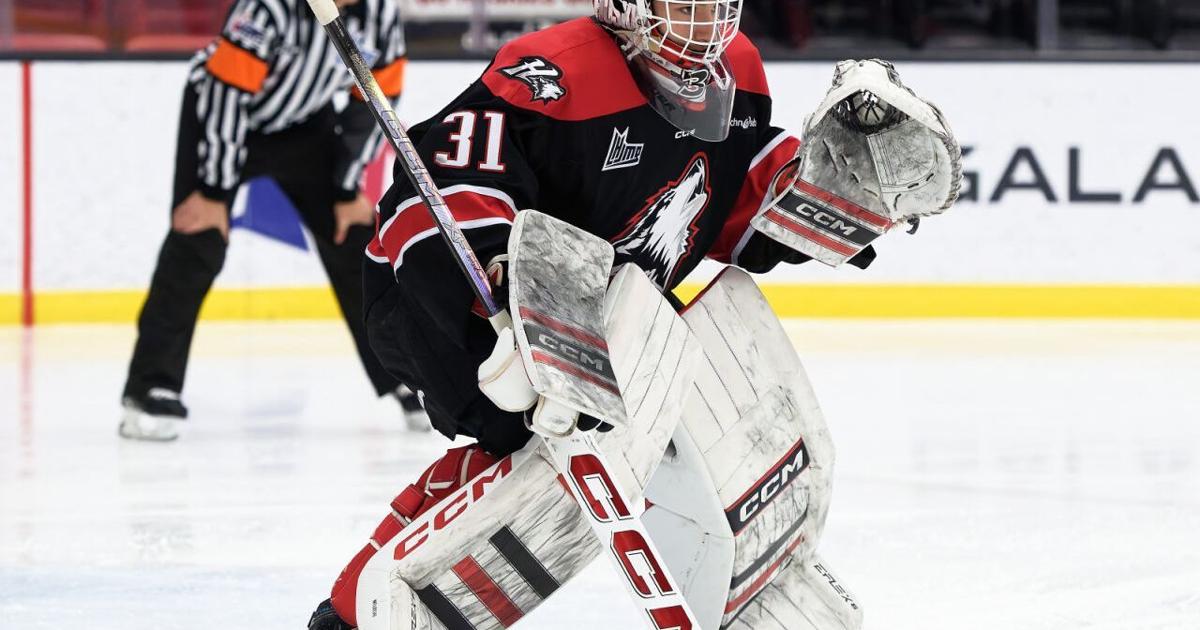 Sabres prospect Meloche crafting style after former Canadiens star Price |