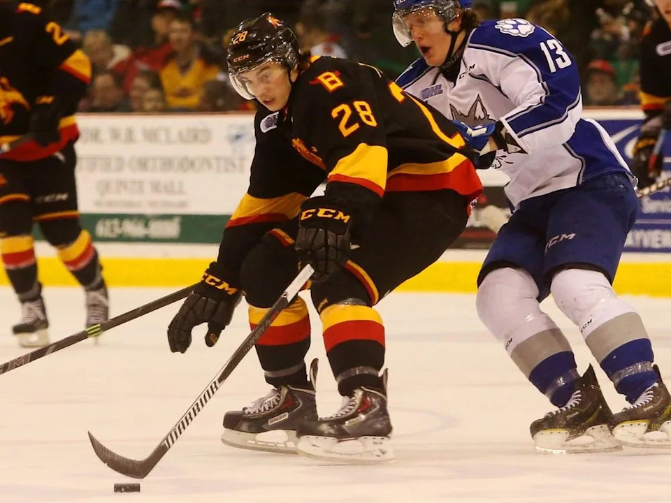  Belleville Bulls forward David Tomasek controls the puck as Sudbury Wolves forward Michael Pezzetta gives chase in Ontario Hockey League play in Belleville, Ont. Saturday, March 21, 2015.