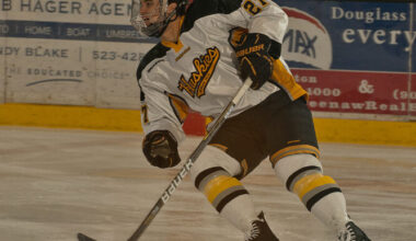 Reddick making the most of what hockey is giving him | News, Sports, Jobs