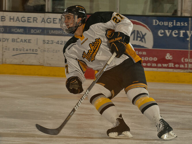 Reddick making the most of what hockey is giving him | News, Sports, Jobs