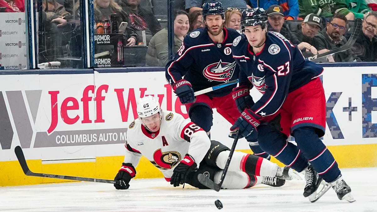 Detroit Red Wings sign veteran defenseman Travis Hamonic