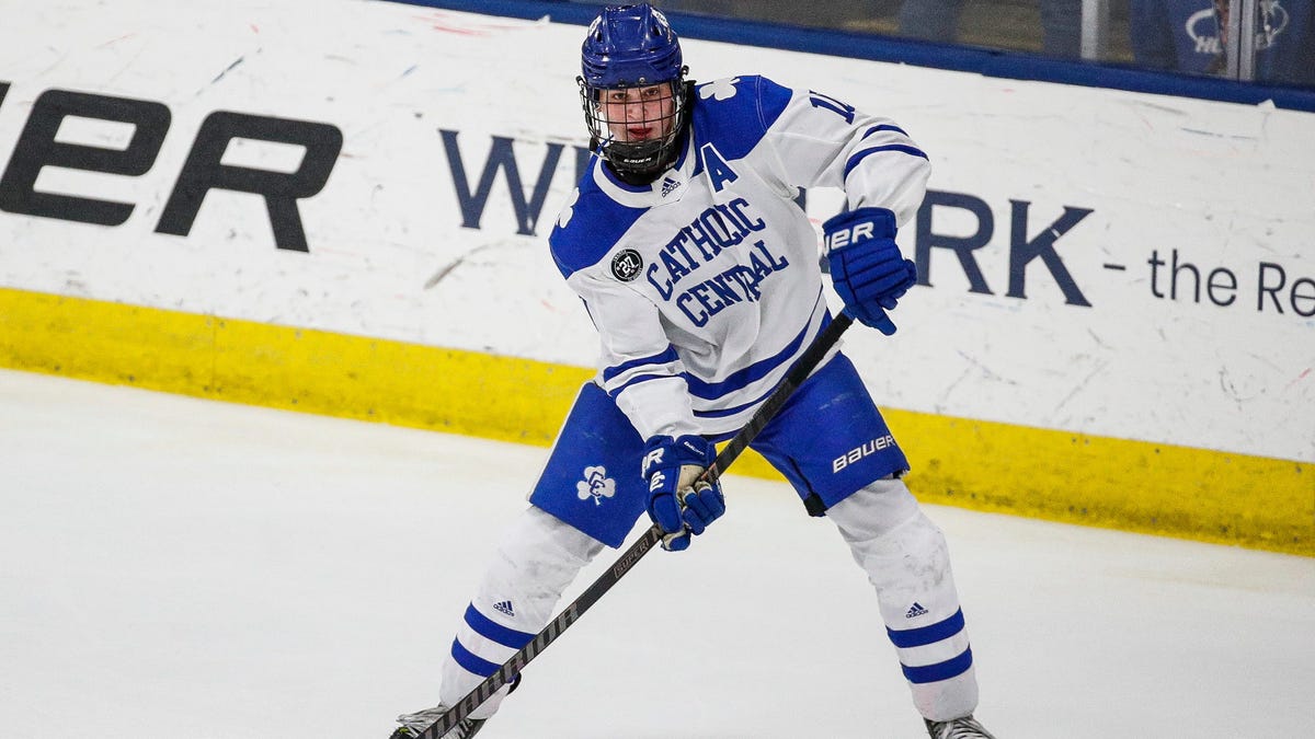 Michigan State hockey gains commitment from in-state forward