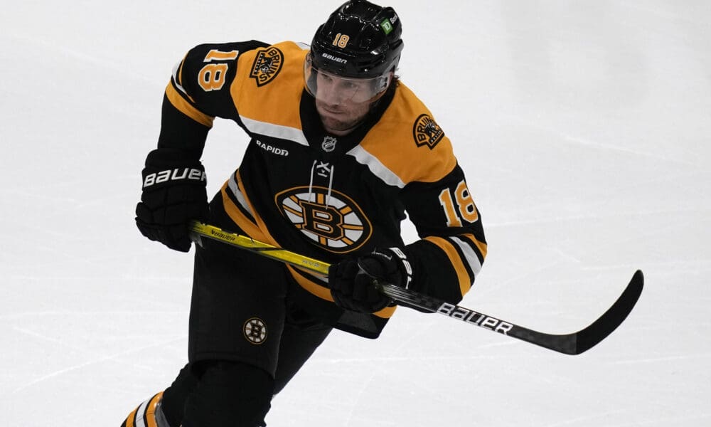 pavel-zacha-boston-bruins