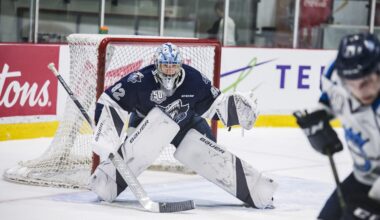 Blues Prospects Who Could Make a Great Impression at Training Camp - The Hockey Writers - St Louis Blues