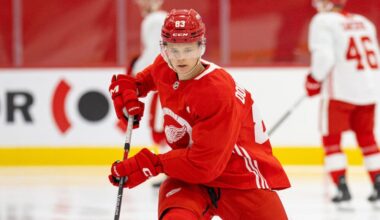 Noah Dower-Nilsson, Red Wings prospect