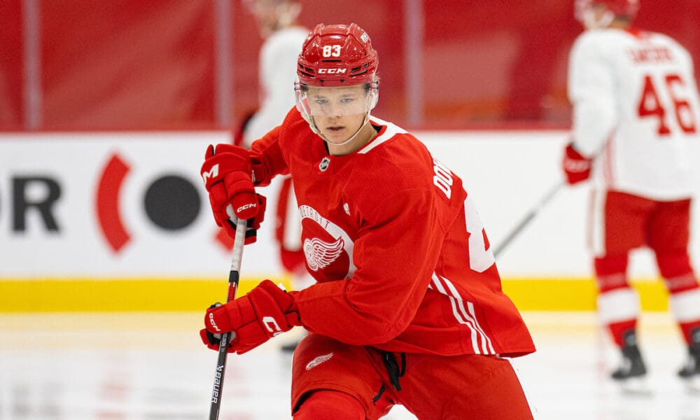 Noah Dower-Nilsson, Red Wings prospect