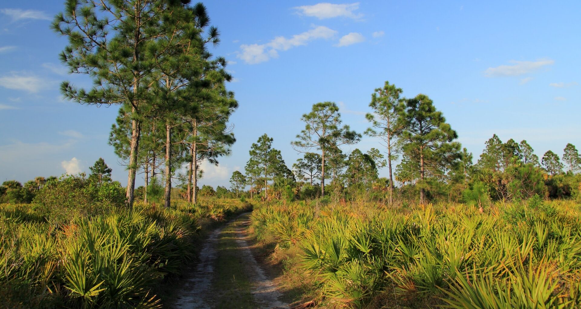 The sighting is proof that trail cameras can pay off.