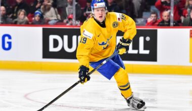 Marlies Sign Alexander Nylander, Luke Grainger, Brandon Baddock