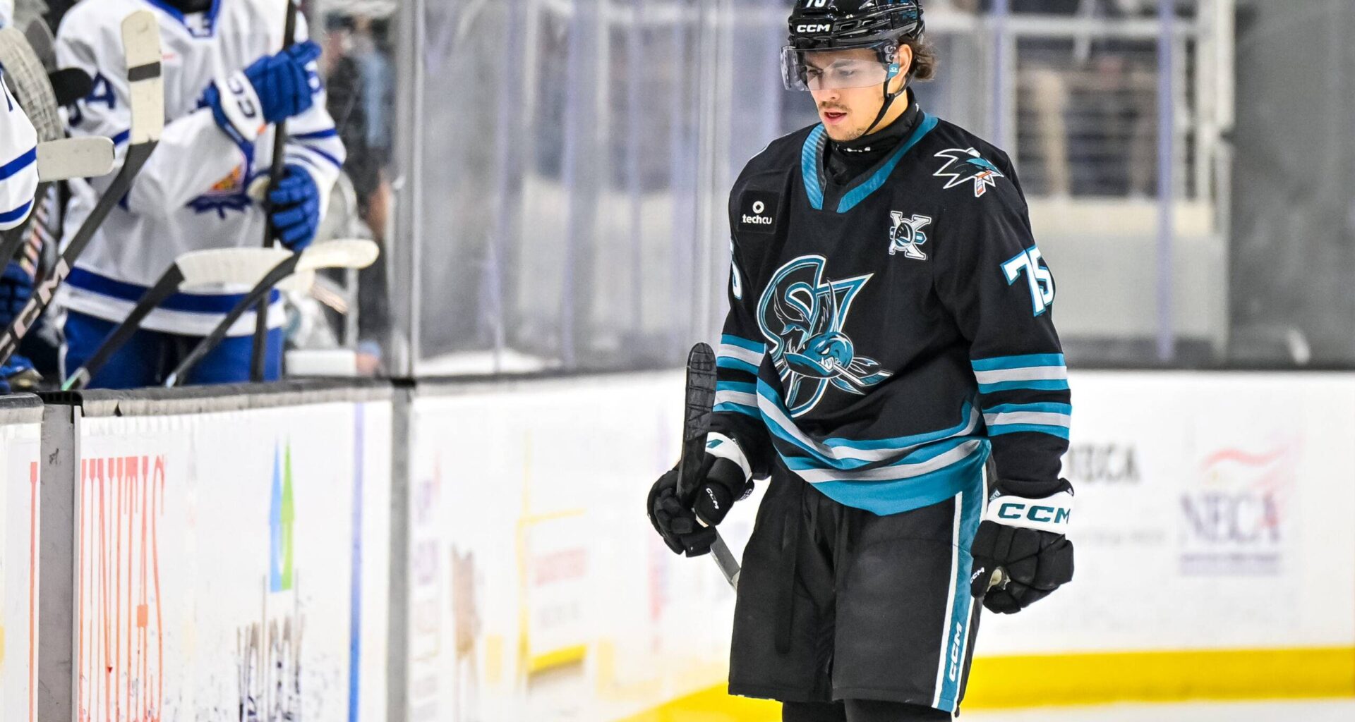 San Jose Sharks forward Danil Guschin.