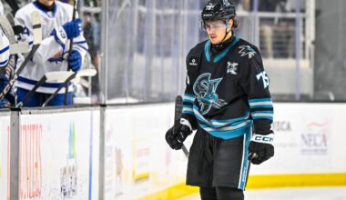 San Jose Sharks forward Danil Guschin.