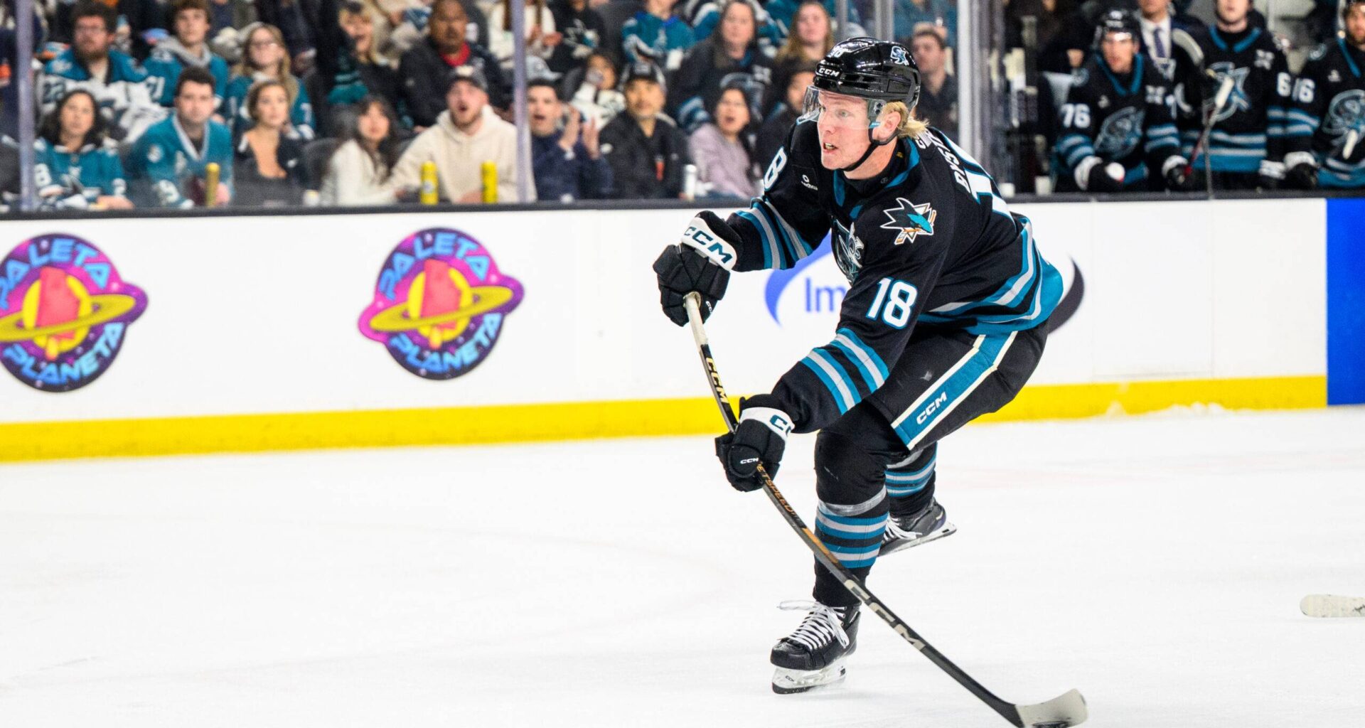 San Jose Sharks prospect Filip Bystedt